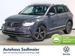 Delfingrau Gebraucht 2021 VW Tiguan Active SUV | 28.900 € (Etwas zu teuer)