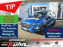 Dynamicblau metallic Gebraucht 2021 Ford Ecosport Active SUV | 18.490 € (Fairer Preis)