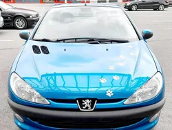 Blau Gebraucht 2002 Peugeot 206 CC Cabrio | 2.350 € (Teuer)