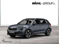Grau Neu 2025 Skoda Kamiq Tour SUV | 30.490 € (Etwas zu teuer)