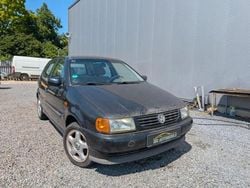 Schwarz Gebraucht 1997 VW Polo Comfortline Limousine | 499 € (Guter Preis)