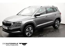 Grau Gebraucht 2023 Skoda Karoq Style SUV | 29.480 € (Etwas zu teuer)