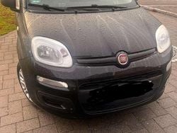 Gebraucht 2017 Fiat Panda Easy Kombi | 4.800 € (Superpreis)