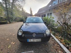 Schwarz Gebraucht 2001 VW Lupo Kleinwagen | 1.000 € (Fairer Preis)