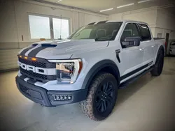 Grau Gebraucht 2023 Ford F-150 Raptor Abholung | 51.991 €