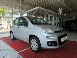 Grau Gebraucht 2016 Fiat Panda Easy Kleinwagen | 6.900 € (Fairer Preis)