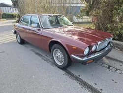 Rot Gebraucht 1983 Jaguar XJ6 Limousine | 1.600 €