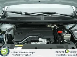 Weiß Neu 2025 Peugeot 3008 Allure SUV | 36.590 € (Superpreis)