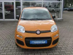 Orange Gebraucht 2019 Fiat Panda Easy Kleinwagen | 7.900 € (Fairer Preis)