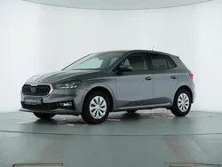 Grau Gebraucht 2024 Skoda Fabia Selection Kleinwagen | 19.489 € (Superpreis)
