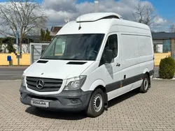Weiß Gebraucht 2014 Mercedes Sprinter Van | 16.200 € (Teuer)