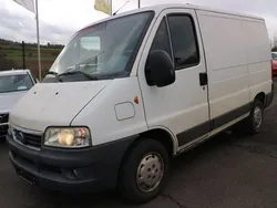 Weiß Gebraucht 2006 Fiat Ducato Dynamic Van | 2.450 €