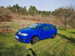 Blau Gebraucht 2005 Skoda Fabia Classic Kombi | 2.800 € (Etwas zu teuer)
