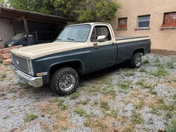 Grau Gebraucht 1981 Chevrolet C10 | 24.000 €
