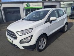 Weiß Gebraucht 2020 Ford Ecosport Cool & Connect SUV | 12.490 € (Guter Preis)
