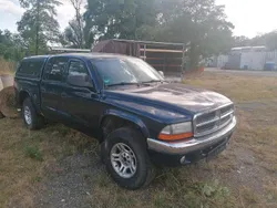 Blau Gebraucht 2002 Dodge Dakota Abholung | 4.000 €