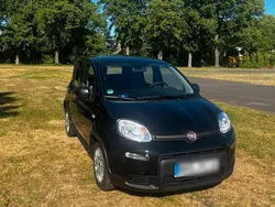 Schwarz Gebraucht 2024 Fiat Panda Kleinwagen | 15.000 € (Etwas zu teuer)