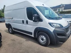 Weiß Gebraucht 2024 Fiat Ducato Van | 31.990 € (Fairer Preis)
