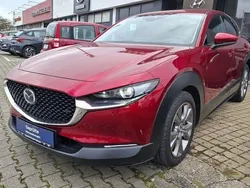 Rot Gebraucht 2019 Mazda CX-30 Selection SUV | 18.490 € (Fairer Preis)