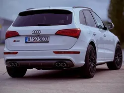 Weiß Gebraucht 2015 Audi SQ5 Competition SUV | 21.499 € (Fairer Preis)