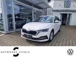Weiss Gebraucht 2020 Skoda Octavia First Edition Kombi | 20.649 € (Fairer Preis)