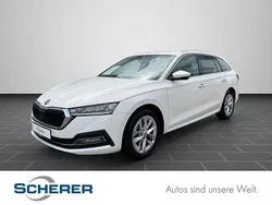 Candyweiß Gebraucht 2023 Skoda Octavia Style Kombi | 20.800 € (Guter Preis)