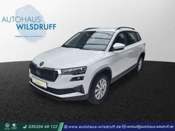 Moonweiß perleffekt Neu 2024 Skoda Karoq Selection SUV | 30.880 € (Guter Preis)