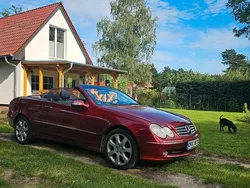 Rot Gebraucht 2004 Mercedes CLK200 Cabrio | 9.500 € (Fairer Preis)