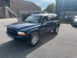 Blau Gebraucht 2000 Dodge Durango SUV | 3.500 €