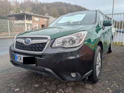 Grün Gebraucht 2014 Subaru Forester SUV | 4.950 €