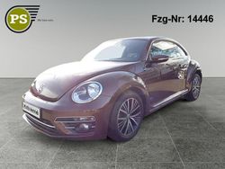 Braun Gebraucht 2017 VW Beetle Design Limousine | 12.980 € (Guter Preis)