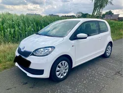 Weiß Gebraucht 2019 Skoda Citigo Ambition Kleinwagen | 8.500 € (Fairer Preis)