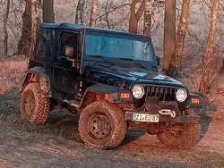 Schwarz Gebraucht 2005 Jeep Wrangler SUV | 17.500 € (Teuer)