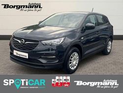 Grau Gebraucht 2018 Opel Grandland X Selection SUV | 13.650 € (Fairer Preis)