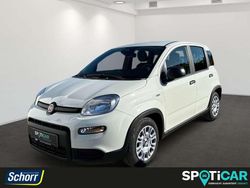 Gelato weiss Gebraucht 2024 Fiat Panda Kleinwagen | 12.995 € (Fairer Preis)