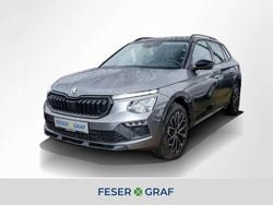Grau Gebraucht 2024 Skoda Kamiq Selection SUV | 19.980 € (Guter Preis)