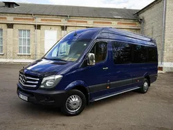 Blau Gebraucht 2015 Mercedes Sprinter Van | 36.500 €