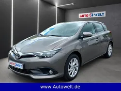 Grau Gebraucht 2017 Toyota Auris Comfort Limousine | 11.490 € (Fairer Preis)