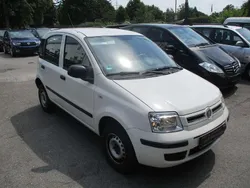 Bianco Gebraucht 2011 Fiat Panda Kleinwagen | 4.150 € (Fairer Preis)