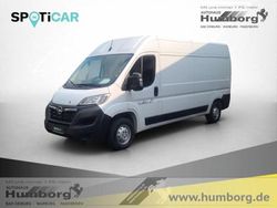 Weiss Gebraucht 2024 Opel Movano Van | 26.970 € (Superpreis)