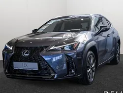 Grau Gebraucht 2024 Lexus UX 300h Sport Design Packet SUV | 39.490 €