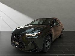 Grün Neu 2025 Lexus NX450h+ Executive Line SUV | 62.950 € (Fairer Preis)