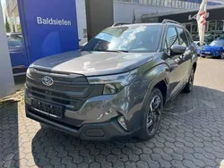 Grau Neu 2025 Subaru Forester Exclusive+ SUV | 42.790 € (Fairer Preis)