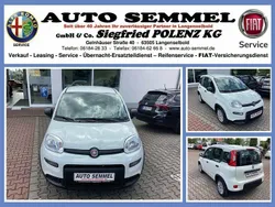 Weiss Neu 2024 Fiat Panda Kleinwagen | 14.600 € (Fairer Preis)