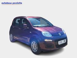 Colore esterno (melanzana mica Gebraucht 2012 Fiat Panda Lounge Kleinwagen | 6.990 €