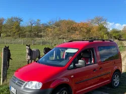 Rot Gebraucht 2009 VW Caddy Life Van / Kleinbus | 6.300 € (Guter Preis)