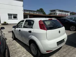 Bianco divino/zenit/ghia Gebraucht 2017 Fiat Punto Basis Kleinwagen | 4.900 € (Guter Preis)