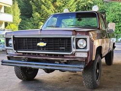 Gebraucht 1973 Chevrolet C10 Abholung | 19.750 €