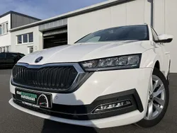 Weiß Gebraucht 2023 Skoda Octavia Style Kombi | 19.860 € (Guter Preis)