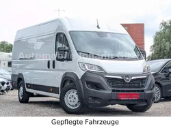 Weiß Gebraucht 2024 Opel Movano Edition Van | 26.449 €